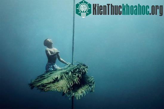Các thợ lặn có nghề của Moken có thể lặn tới độ sâu 20m (65ft) trong vài phút
