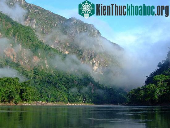 Madidi National Park