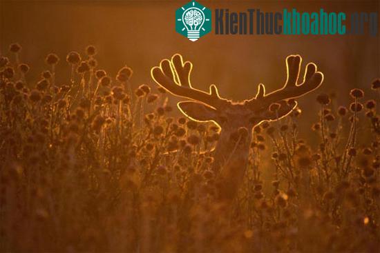 Kinh nghiệm chụp ảnh du lịch ngược sáng