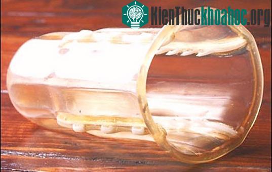 Bao cao su chống hiếp dâm