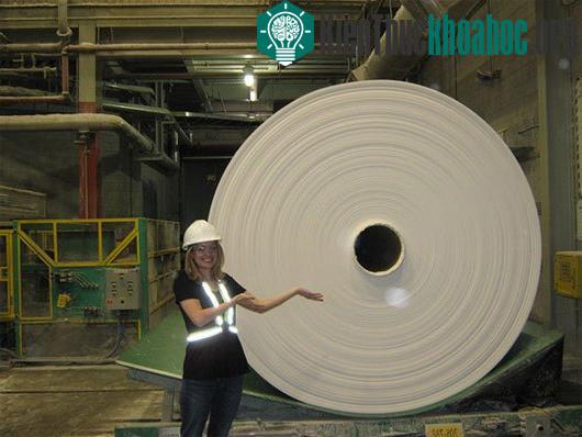 Lịch sử thú vị của giấy vệ sinh