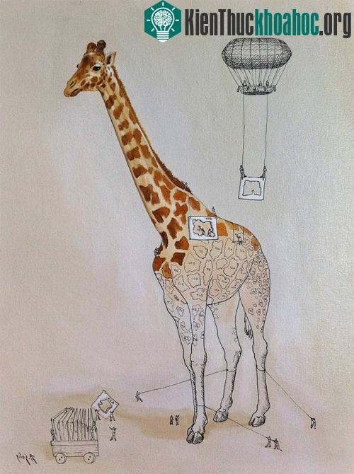 Giải thích vui: Điều hiển nhiên của động vật nhưng chẳng ai biết