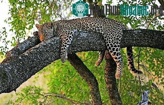 Những nỗi sợ hãi có sẵn trong tiềm thức của con người