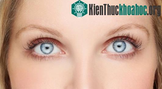 Những biểu hiện kỳ quặc của thiên tài