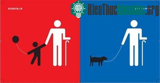 Cuộc sống khi về già