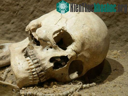 Những bí ẩn khoa học mới được giải đáp