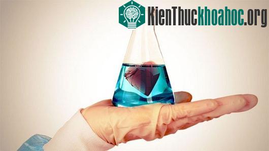 Phản ứng sau khi chia tay dưới góc nhìn khoa học