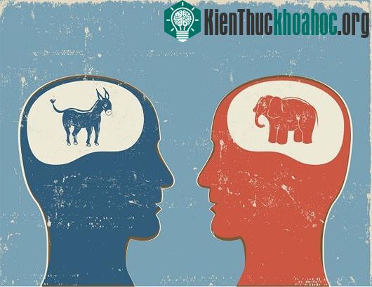 Các lầm tưởng điển hình trong cuộc sống qua "mổ xẻ" khoa học