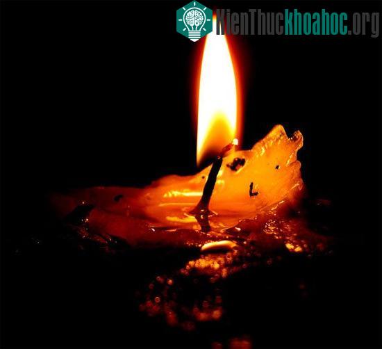 Những điều cần biết về ngọn Lửa - Điều khác biệt giữa người và vật