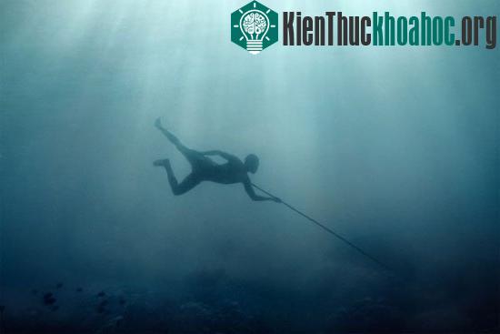 Quá trình bơi lặn dưới nước lâu dài cũng luyện cho người Moken đôi mắt thích nghi phù hợp với môi trường chất lỏng mặn