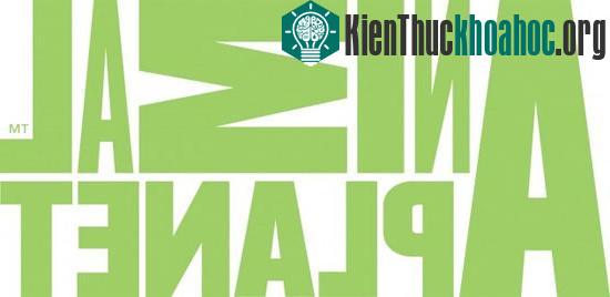 Ý nghĩa thực sự nằm sau những logo nổi tiếng