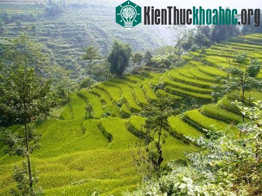 Một góc Sa Pa mộng mơ