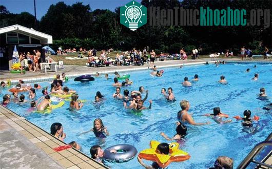 Bí kíp nhận biết nước bể bơi có chứa độc tố