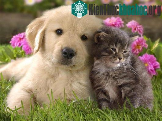6 cách "lừa đảo não bộ" khiến con người làm việc chăm chỉ hơn