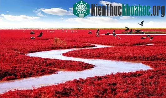 Khám phá những địa danh có vẻ đẹp kỳ ảo