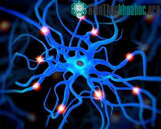 Những công dụng không ngờ của nước tiểu