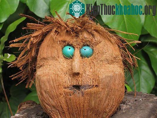 Sự tích trái cây qua các truyện kể dân gian thế giới