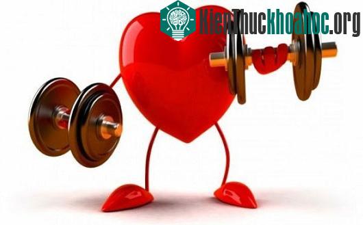 Lý giải chuyện mùa lạnh làm bạn "dính chặt lấy giường"