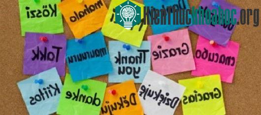 Viễn cảnh "thế giới mới" nếu loài người nói chung 1 ngôn ngữ ảnh 5