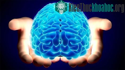 Các lầm tưởng "ngớ ngẩn" thời Hy Lạp cổ đại về con người