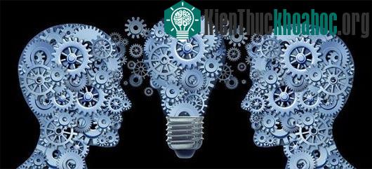 Các lầm tưởng điển hình trong cuộc sống qua "mổ xẻ" khoa học