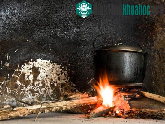 Những điều cần biết về ngọn Lửa - Điều khác biệt giữa người và vật
