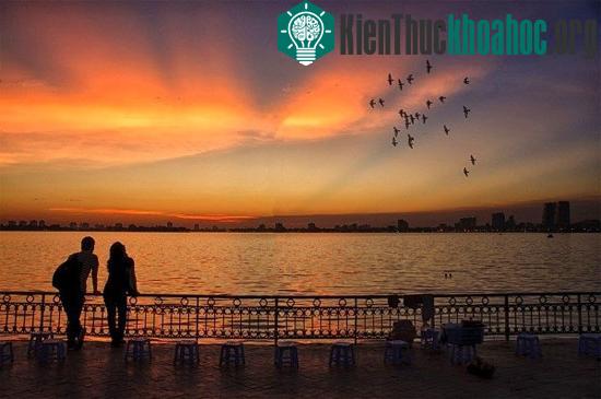 Những đàn sâm cầm "vỗ cánh Mặt trời" giờ chỉ còn trong các bài hát