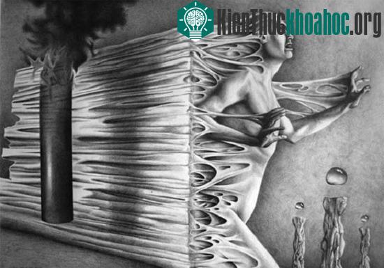 Những lý giải đầu tiên cho trải nghiệm cận chết