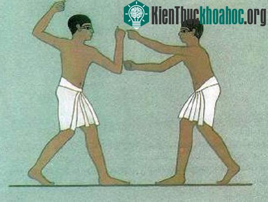 Boxing (đấm bốc)