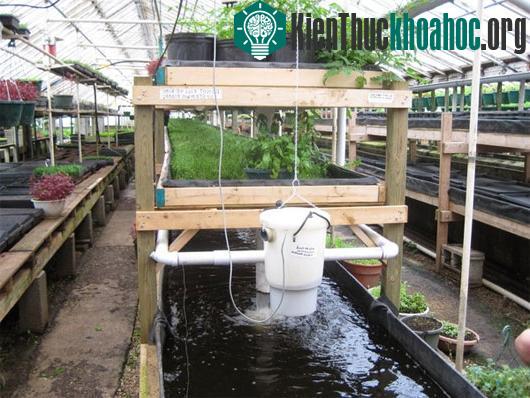 Tuyển tập ngành nghề "việc nhẹ lương cao" trong tương lai
