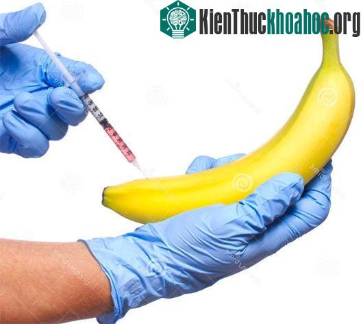 Những thí nghiệm biến đổi gen điên rồ nhất trong lịch sử