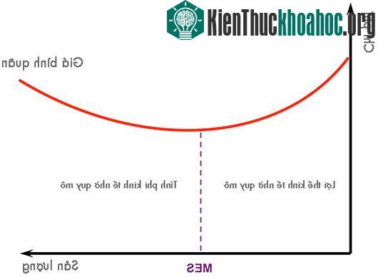 Sơ đồ tương quan giữa sản lượng và chi phí trong khái niệm Lợi thế kinh tế nhờ quy mô​
