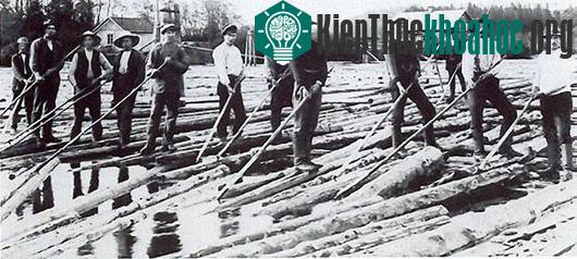 10 công việc đã tuyệt chủng