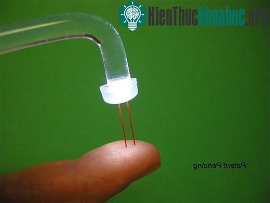 5 giác quan "bật mí" giới hạn đỉnh điểm của con người