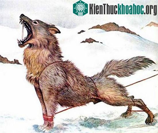 Quái thú gieo rắc nỗi kinh hoàng khắp nước Pháp
