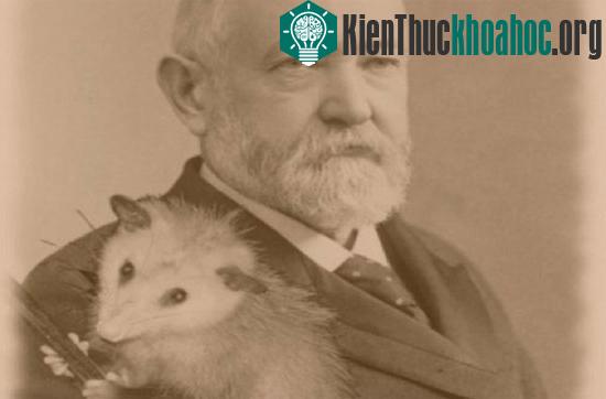 Thú có túi và những con dê