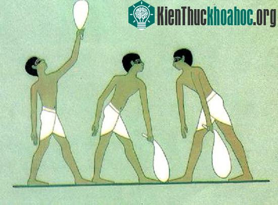 Cử tạ