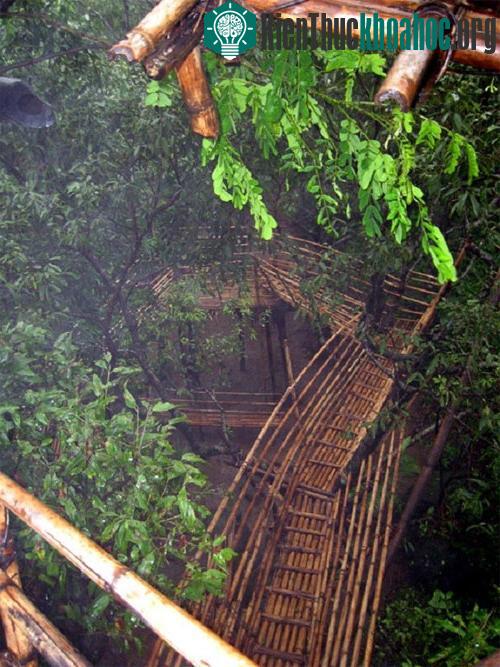 Ngôi làng sạch nhất thế giới - Nơi phụ nữ làm chủ