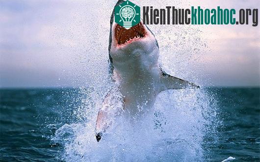 Khoa học đưa ra công thức thú vị để tạo ra rồng lửa