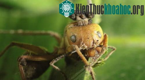 10 hiểm họa đe dọa trái đất