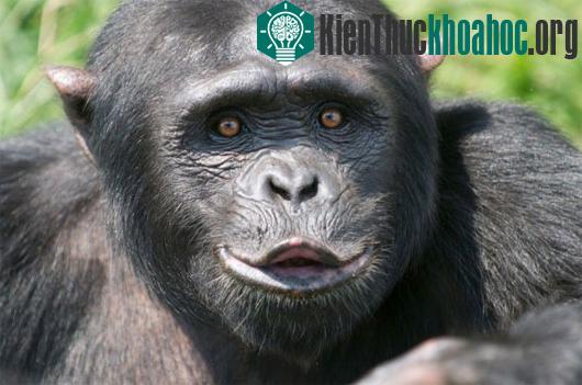 Sex và những khám phá khoa học thú vị