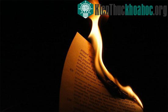 Những điều cần biết về ngọn Lửa - Điều khác biệt giữa người và vật