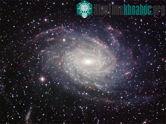 Phát hiện bất ngờ của khoa học những năm gần đây