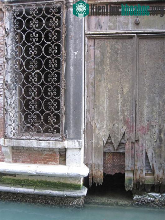 Nét cổ kính của Venice được in hằn đậm nét lên các ngôi nhà với những bức tường rêu phong, những ô cửa sổ rỉ sét và những cánh cửa ngập nước bị ăn mòn theo thời gian.