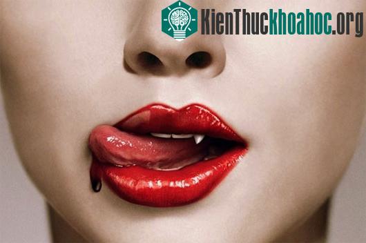 Máu tươi là thứ duy nhất duy trì sự sống, vẻ đẹp và sức mạnh của ma cà rồng