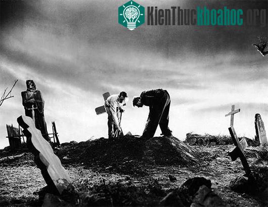 10 công việc đã tuyệt chủng