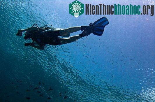 Bình lặn được nhắc đến lần đầu trong cuốn "2 vạn dặm dưới biển".
