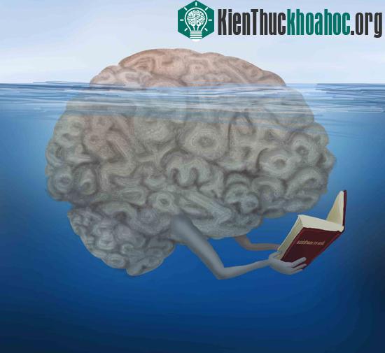 Con người có thể giải toán trong vô thức ảnh 0