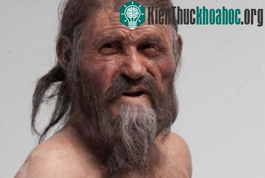 Một phân tích gene mới đây cho thấy Người băng Otzi thực chất là người gốc Trung Âu. (Ảnh: Bảo tàng Khảo cổ học South Tyrol)