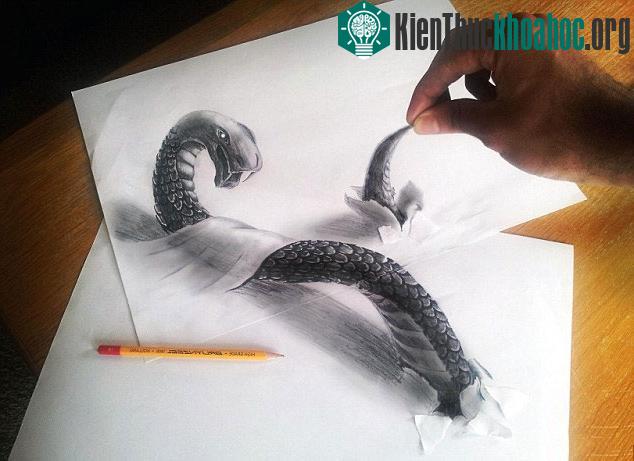 Tranh 3D đáng kinh ngạc